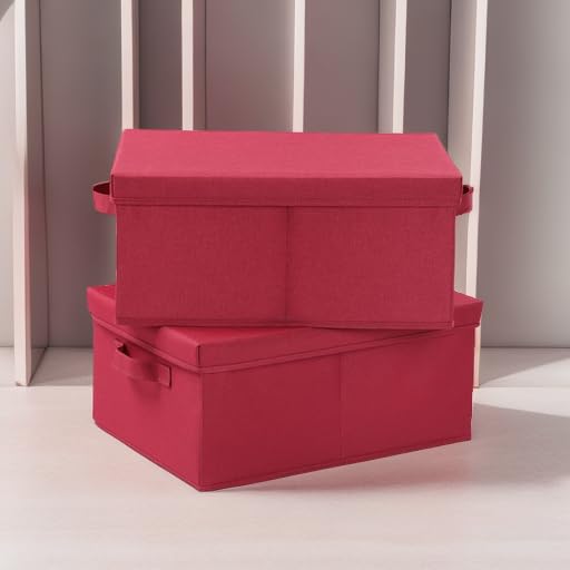 Storage Bins with Lids for Organizing (2 Count)