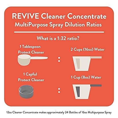 Protect Cleaner Concentrate Multi (12 Fl Oz)
