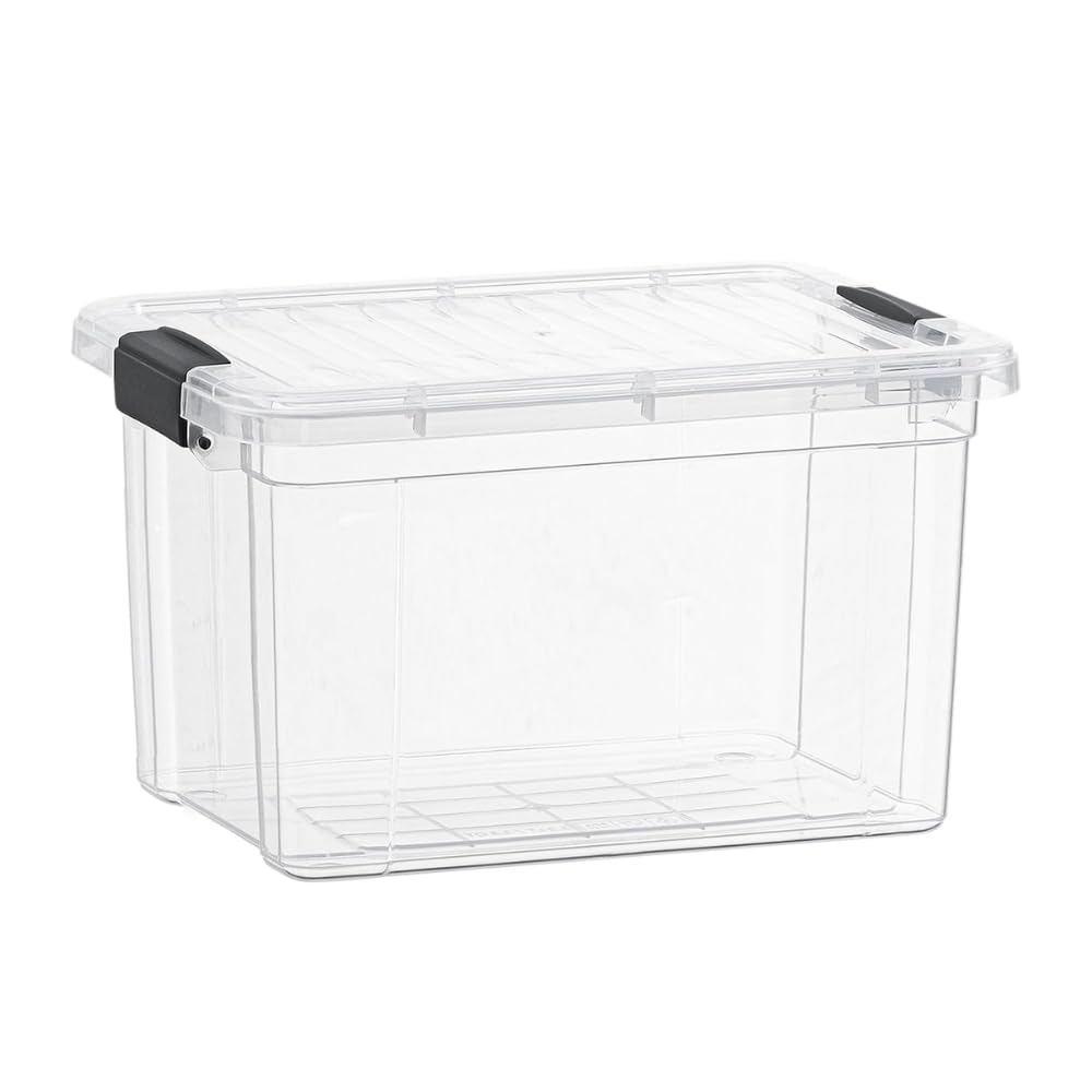 Small Clear Storage Boxes with Lids (4 Count)