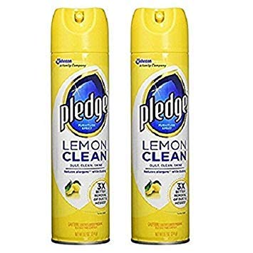 Enhancing Polish Spray (29.1 Ounce)