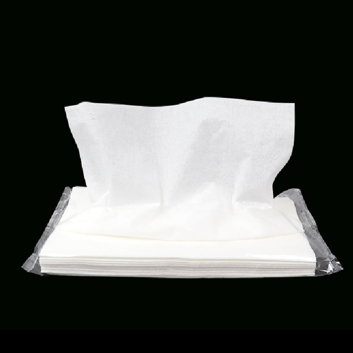 12 Bags Car Tissue Refills (360 Count)