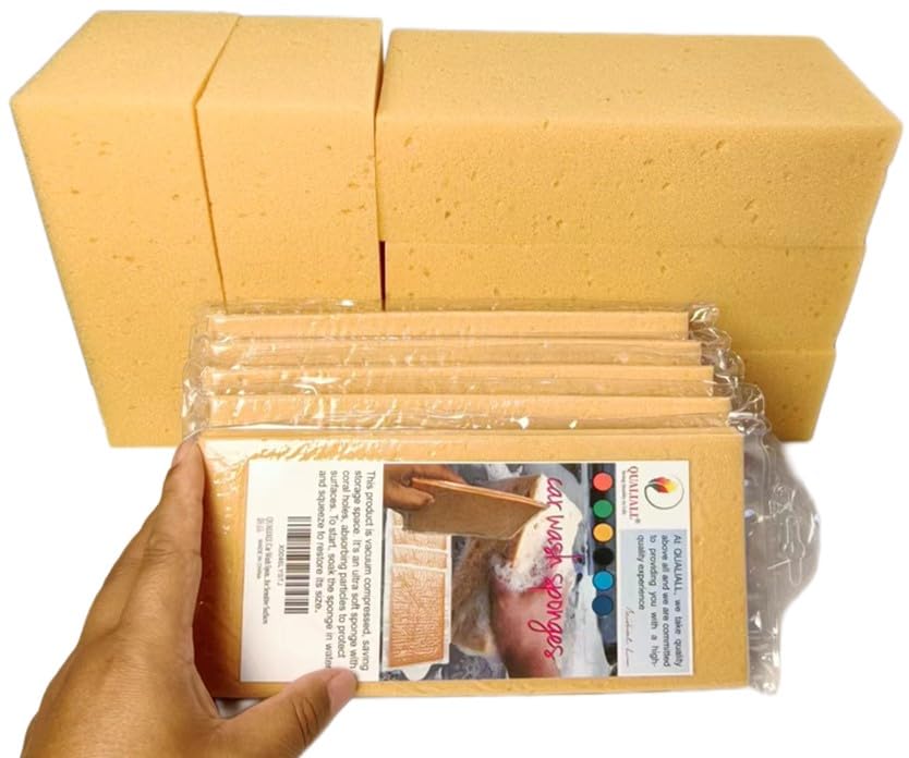 Car Wash Sponges (6 Count)
