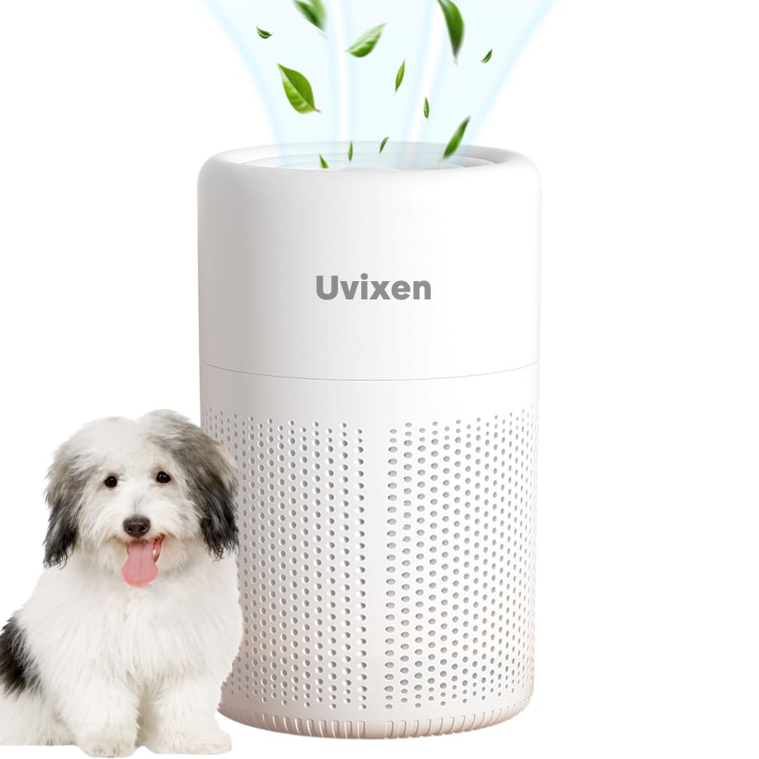 Air Purifiers for Home