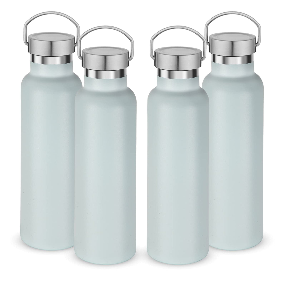 20 oz Insulated Water Bottles Bulk 4 Pack (4 Count)