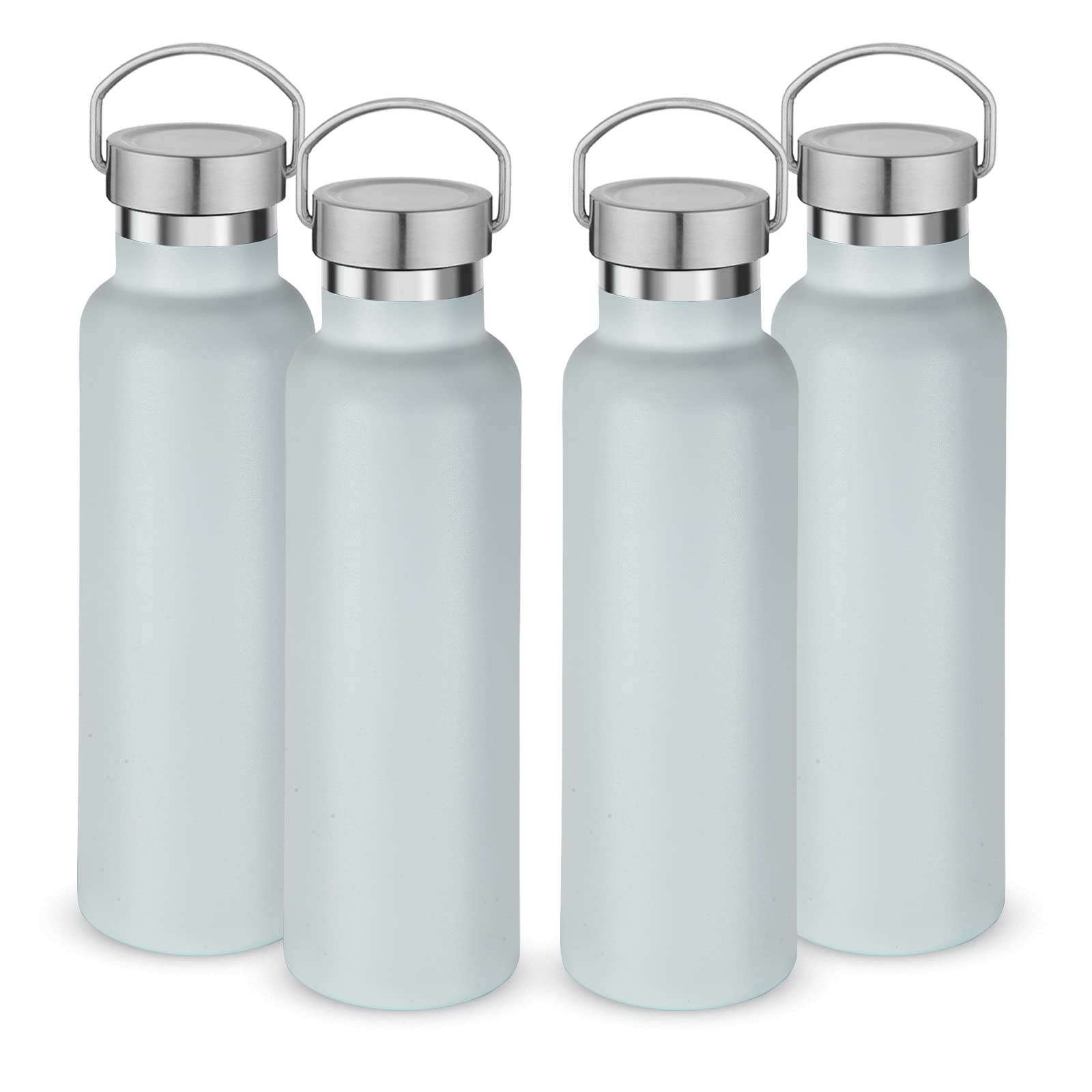 20 oz Insulated Water Bottles Bulk 4 Pack (4 Count)