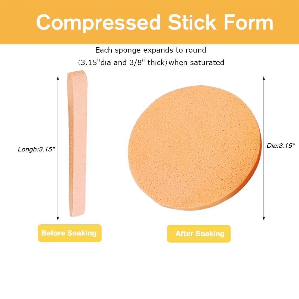 Facial Sponge Compressed (60 Count)