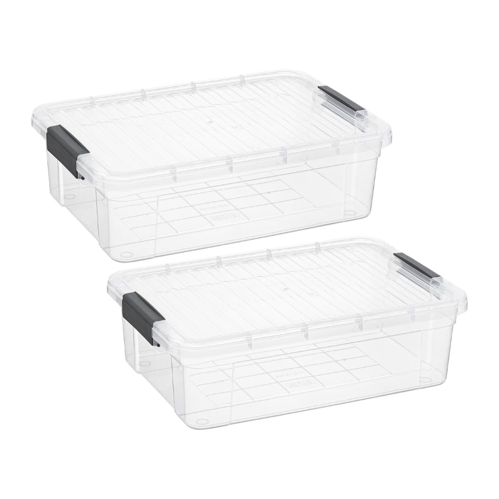 Storage Bins with Lids (2 Count)