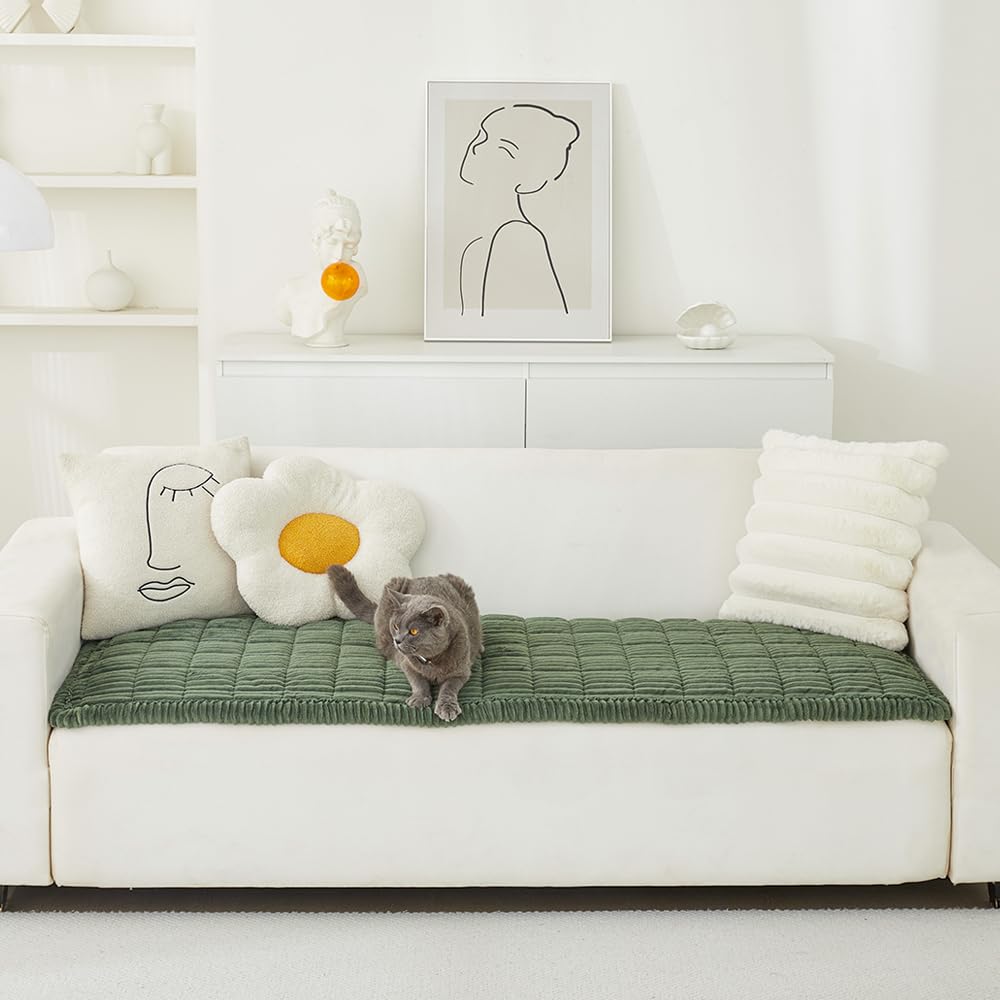 Couch Covers for Dogs Washable