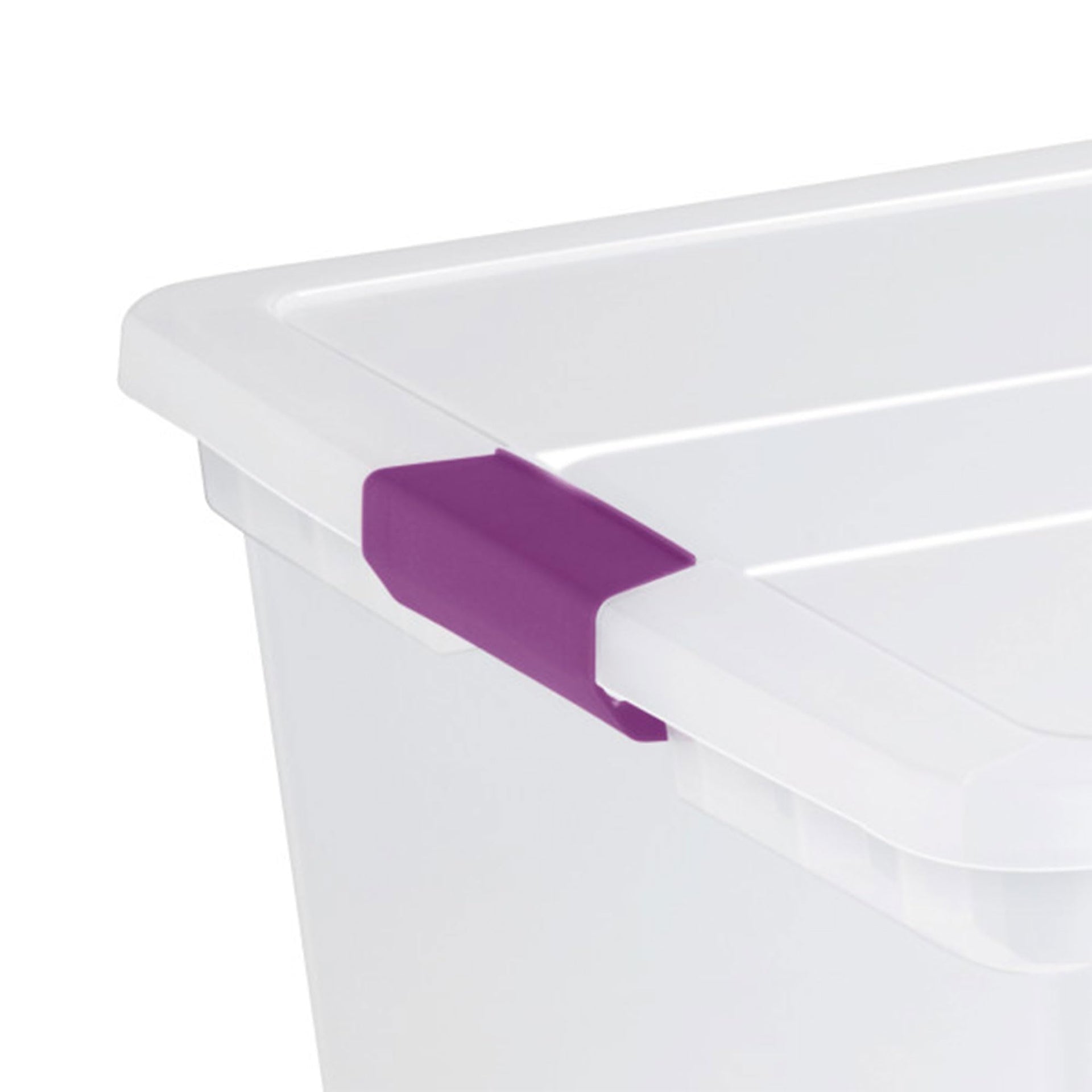 Clearview Latch Boxes (8 Count)