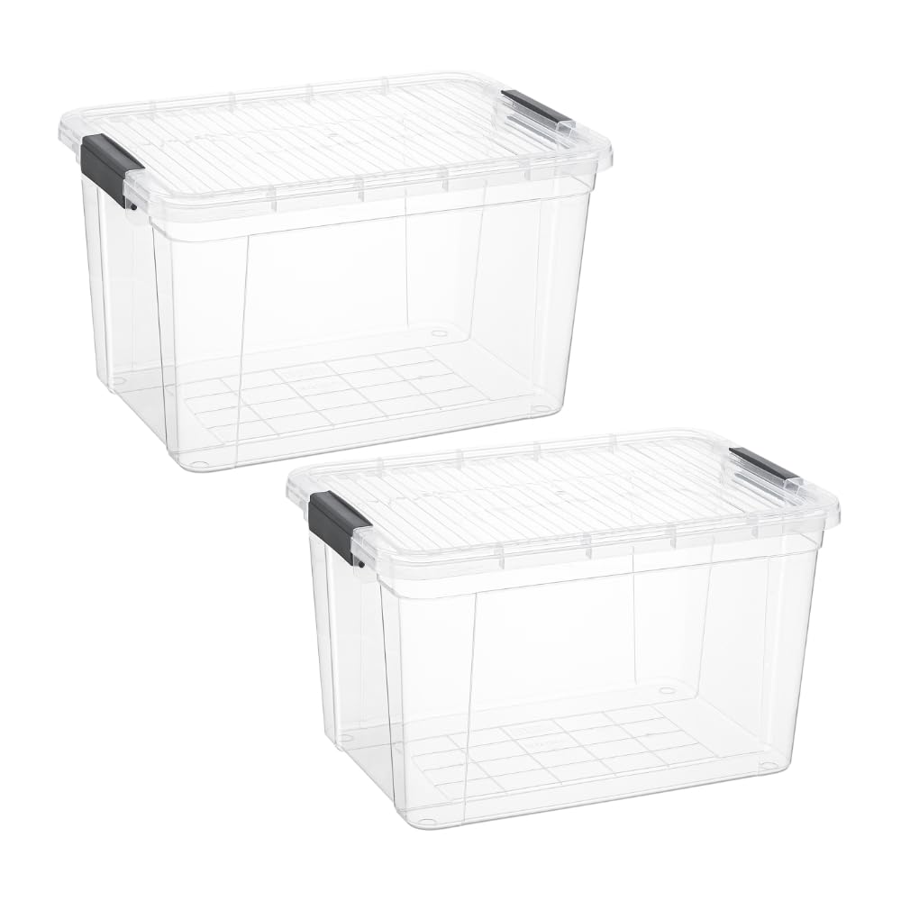 Clear Storage Boxes with Lids (2 Count)