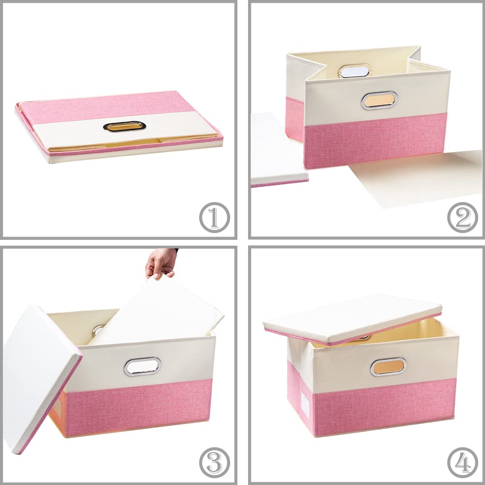 Collapsible Storage Bin with Lid [3 (3 Count)
