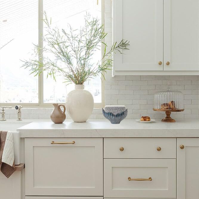Sponge Holder for Kitchen Sink