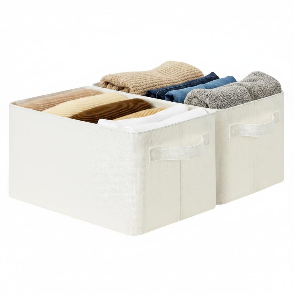Storage Bins for Closet (2 Count)