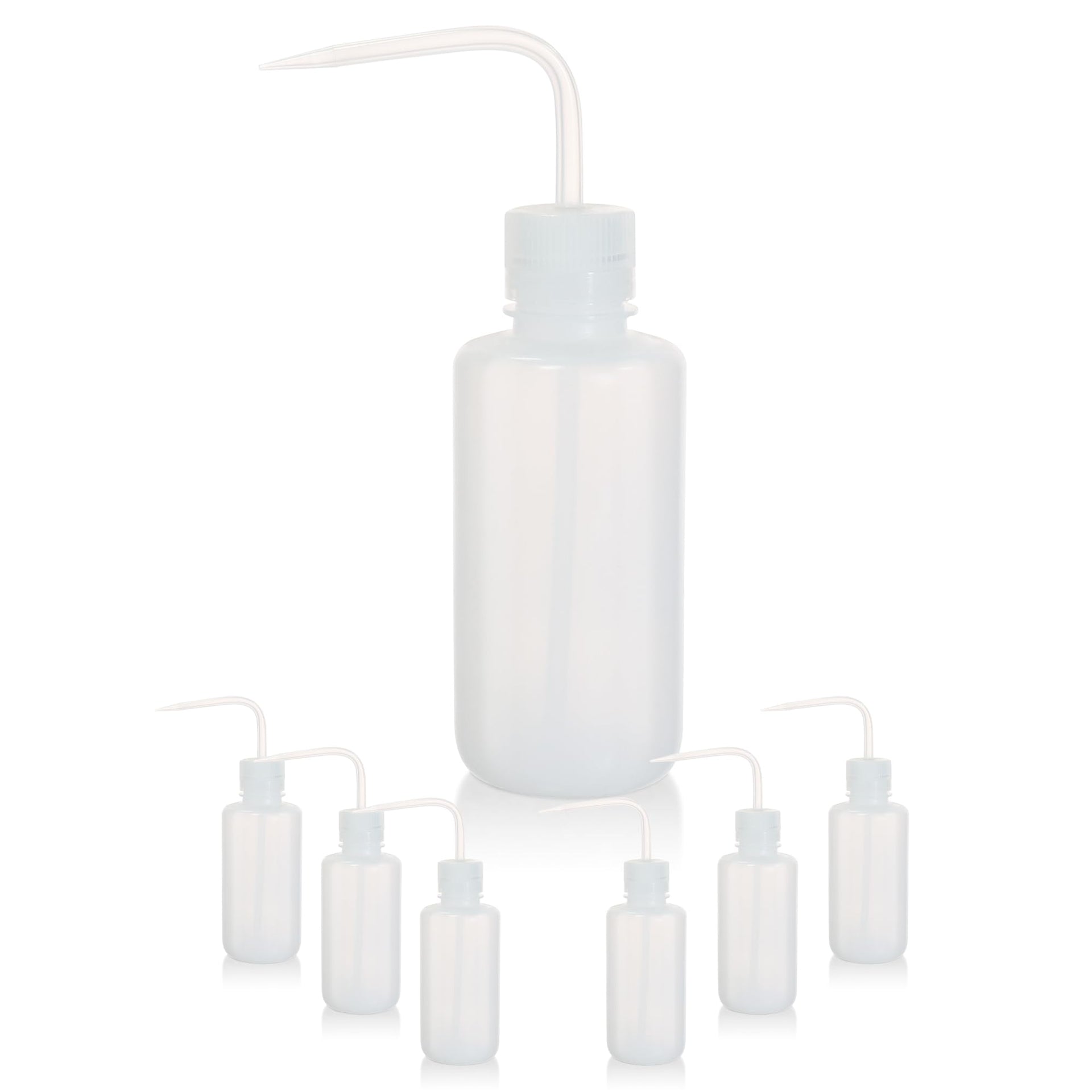 6pcs of Economy Wash Bottles (6 Count)