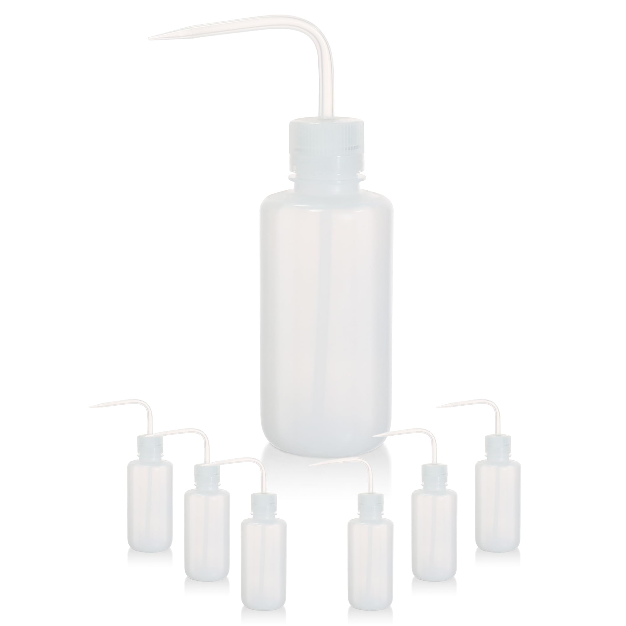 6pcs of Economy Wash Bottles (6 Count)