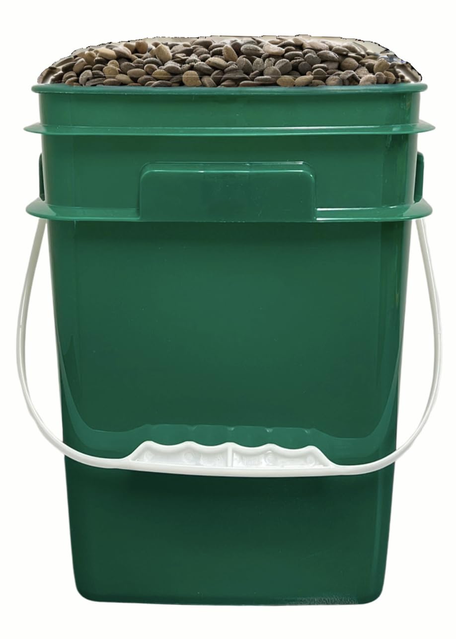 4 Gallon Square Food Grade Bucket Pail with Plastic Handles and Lid