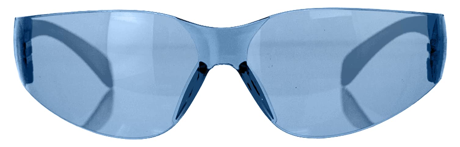 Blue Safety Glasses (144 Count)