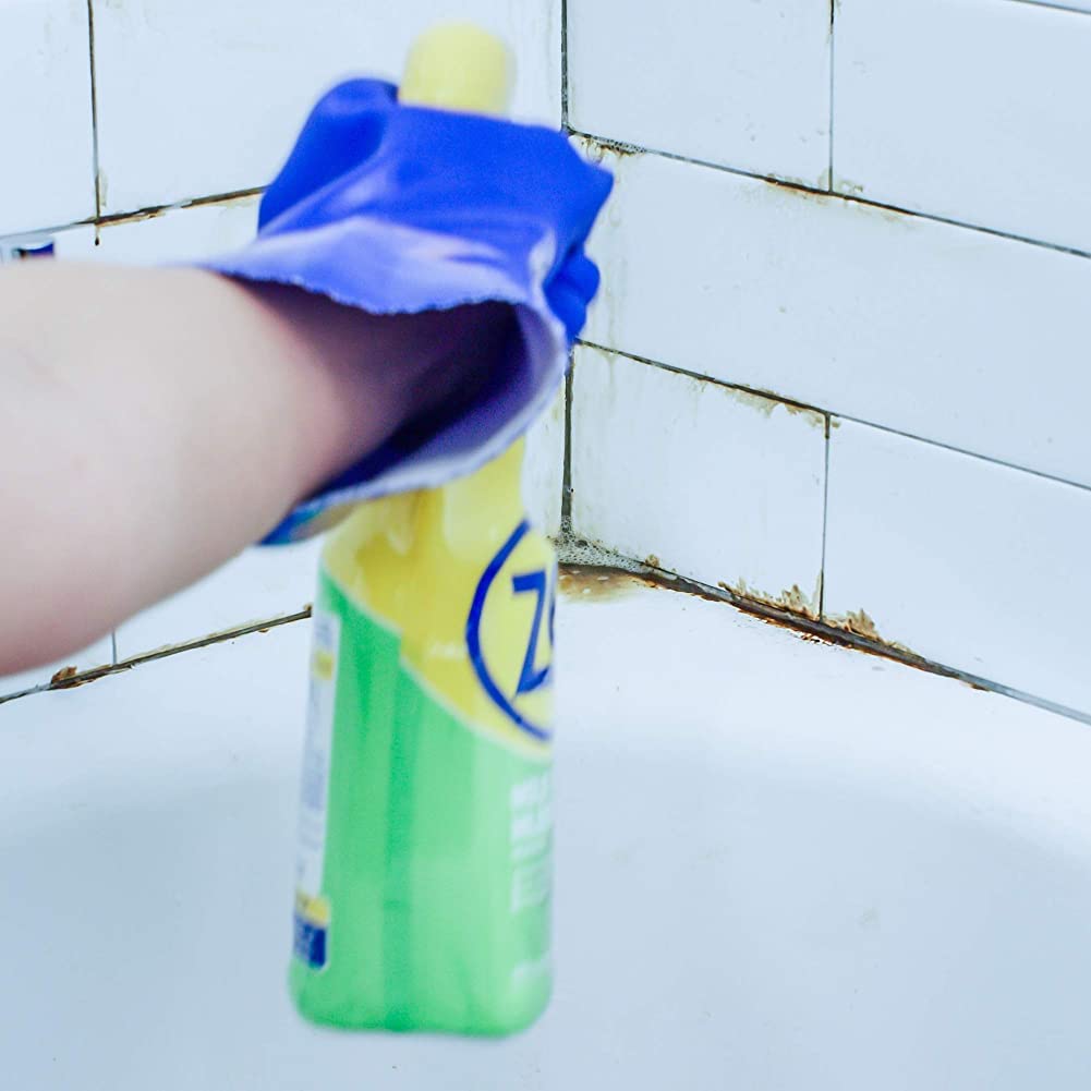 Mold Stain and Mildew Stain Remover (128 Fl Oz)