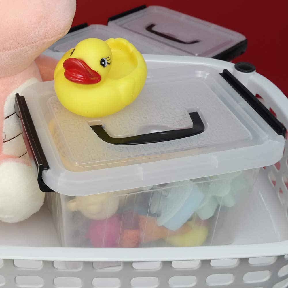 Small Plastic Latching Box (6 Count)