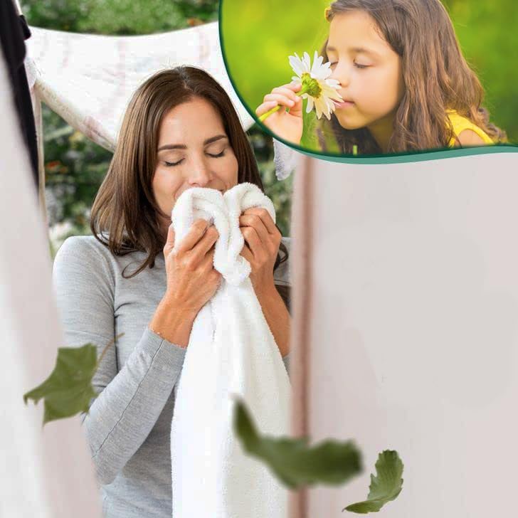 4 in 1 Household Premium Fabric Softener Fresh Scent,250 Single Laundry Dryer Sheets (6.4"x9") Per Dispenser Box,Pack of 12,Made in USA,Drive Clothes Ultra Soft,Reduce Static Cling,Help Repel Pet Hair
