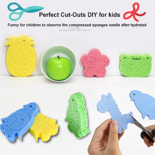 Kitchen Sponges 12 Pack Natural Cellulose for Non Scratch Cleaning (12 Count)