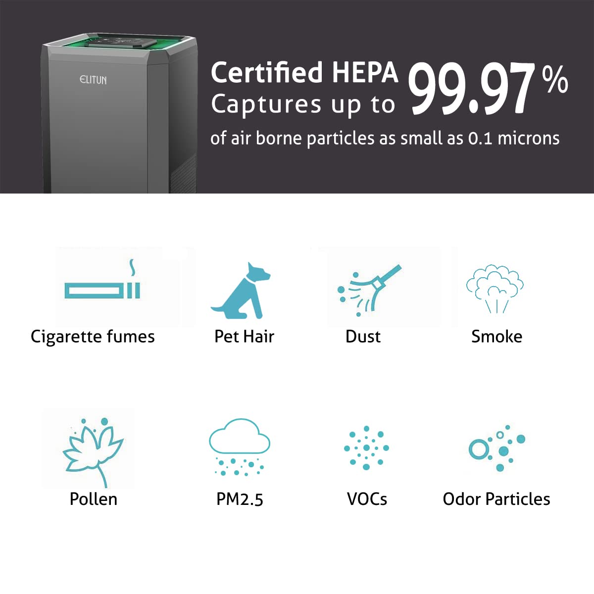 Home Air Purifier