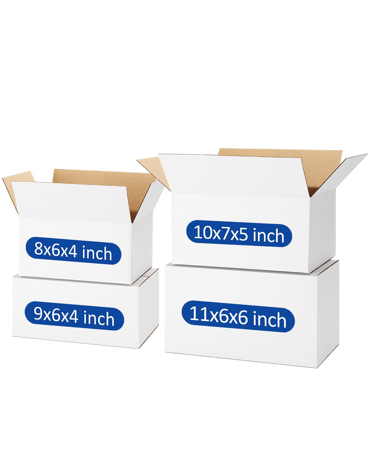 Assorted Sizes (40 Count)
