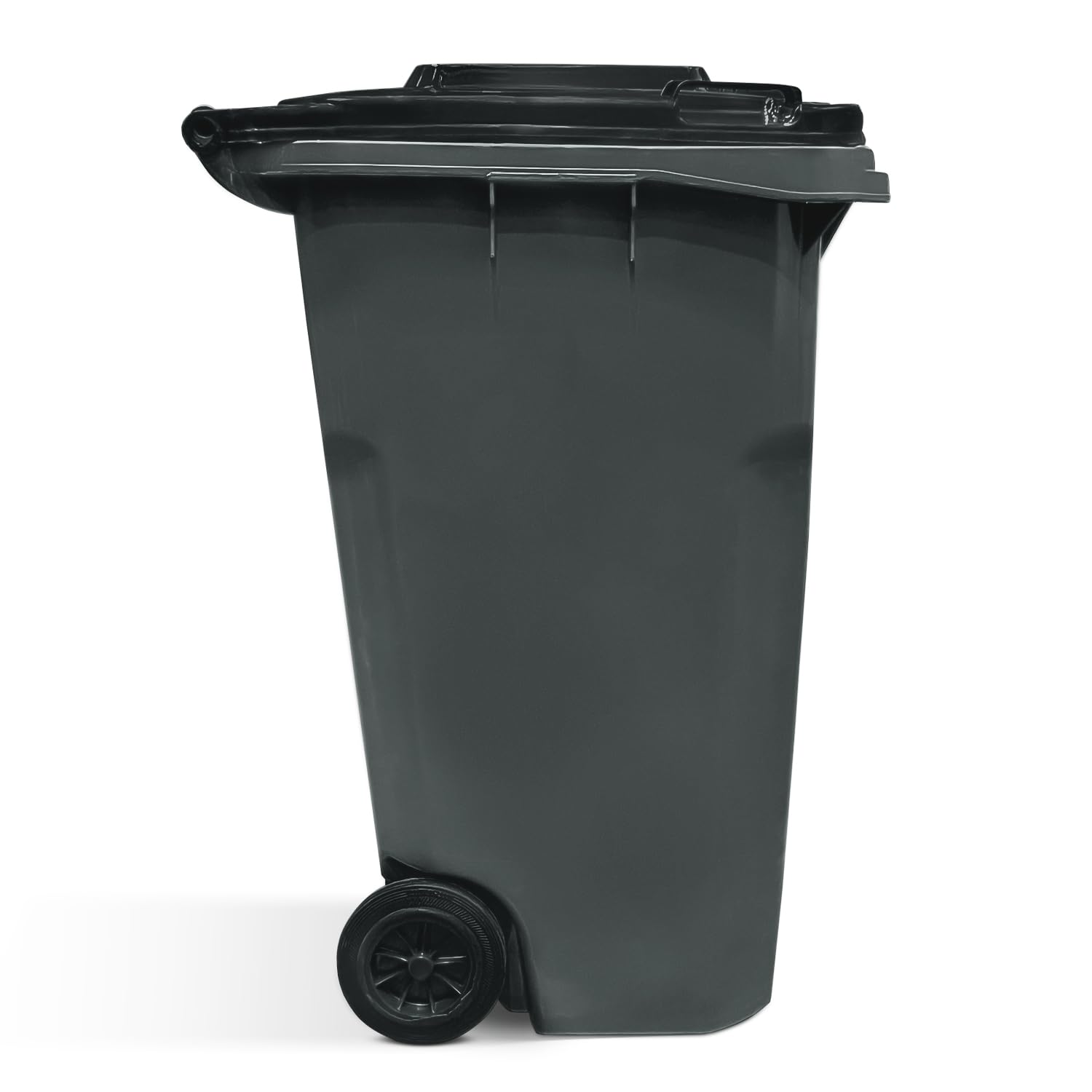 65 Gallon Rollout Trash Can with Lid
