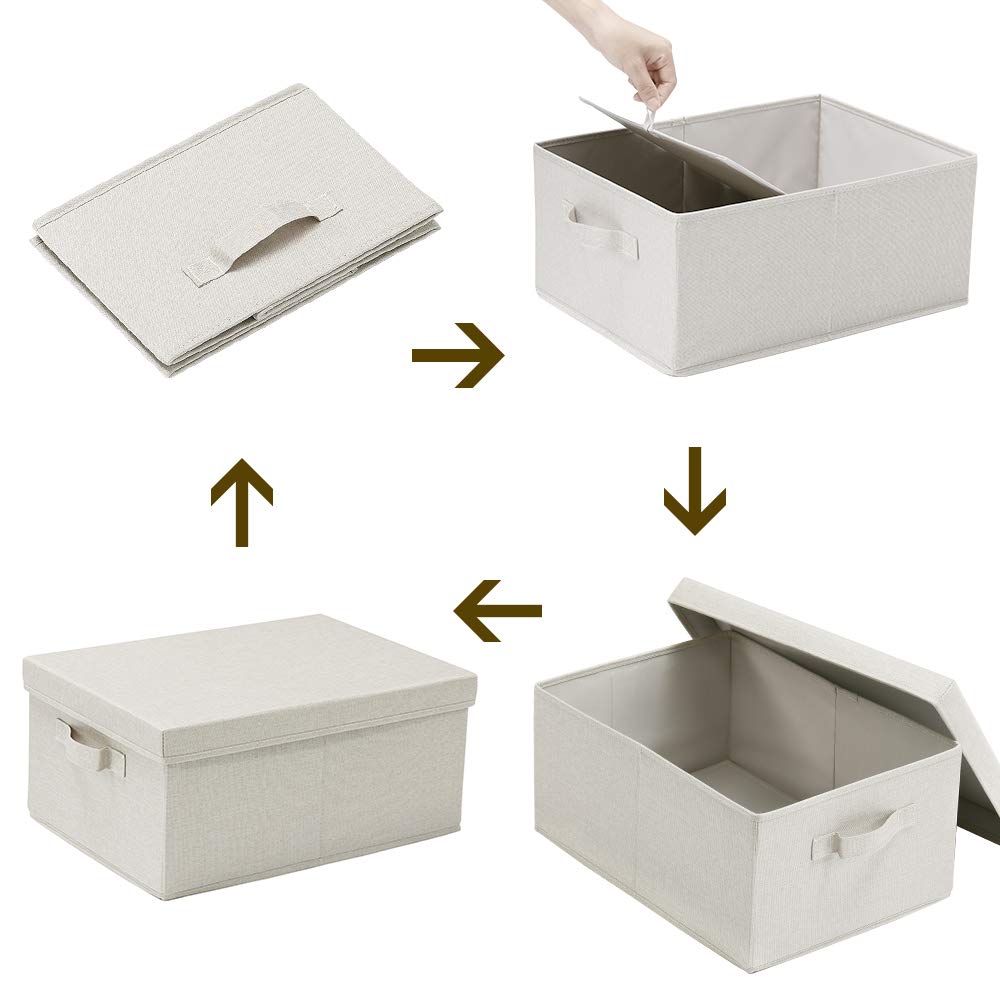 Foldable Storage Bins with Lids (2 Count)