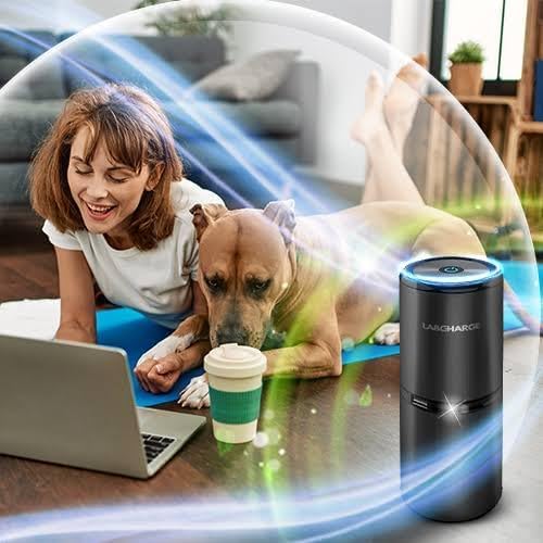 Small Ionic Air Purifier for Home & Bedroom (4 Count)