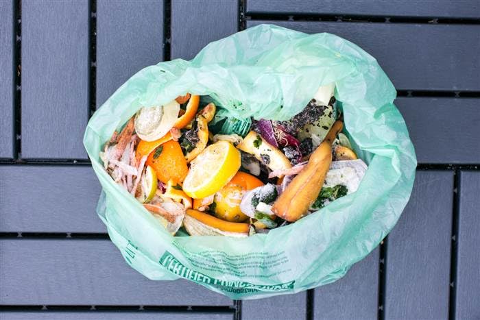 13 Gallon Tall Kitchen Compostable Trash Bags by BioBag (48 Count)