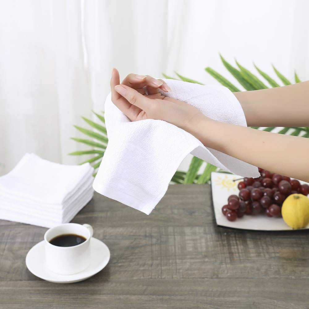 Kitchen Dish Cloths for Washing Dishes