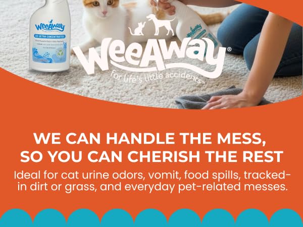 X2 Cat Urine Stain & Odor Remover (16 Fl Oz)