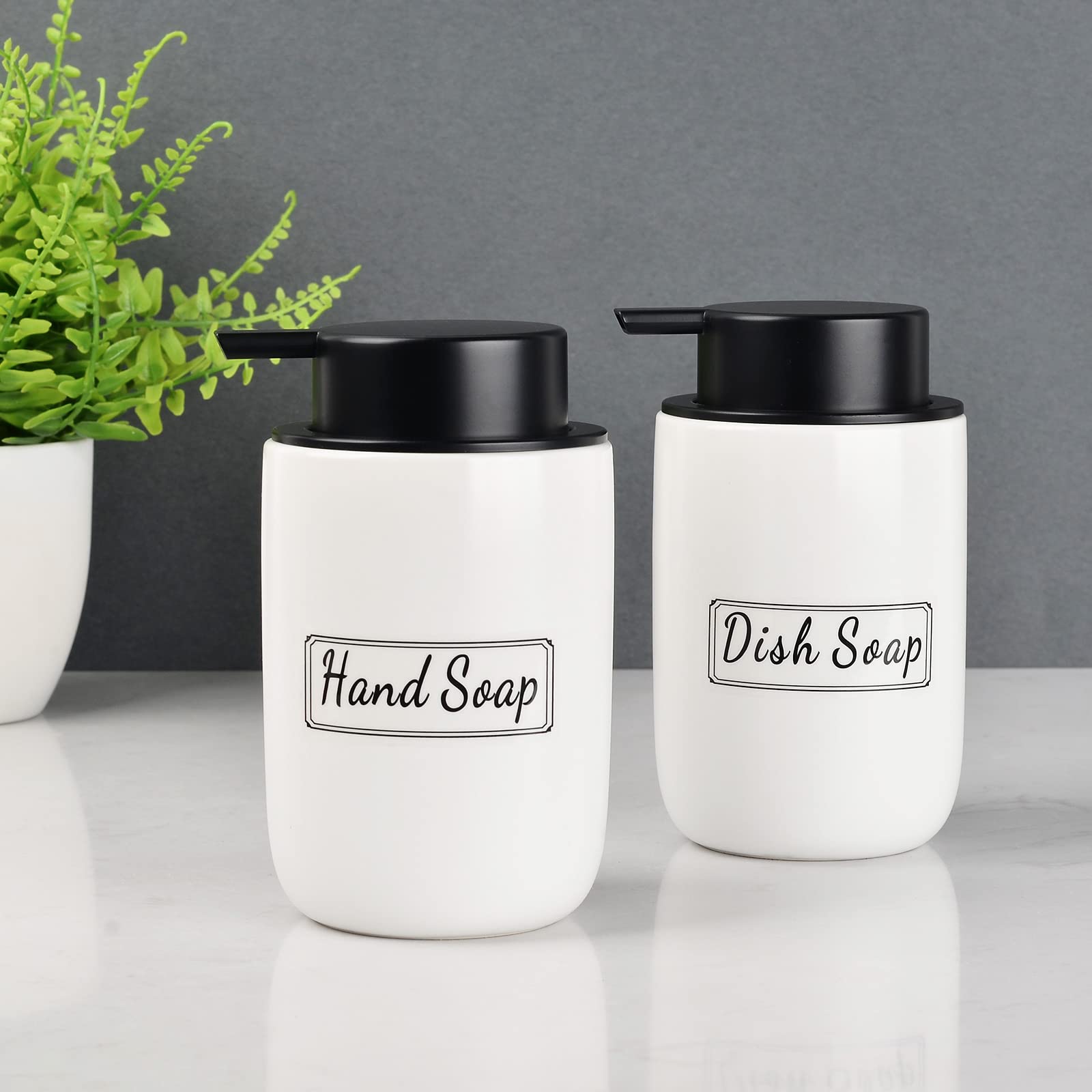 Foaming Soap Dispenser Set (2 Count)