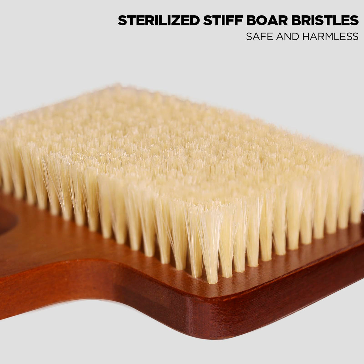 Exfoliation Set