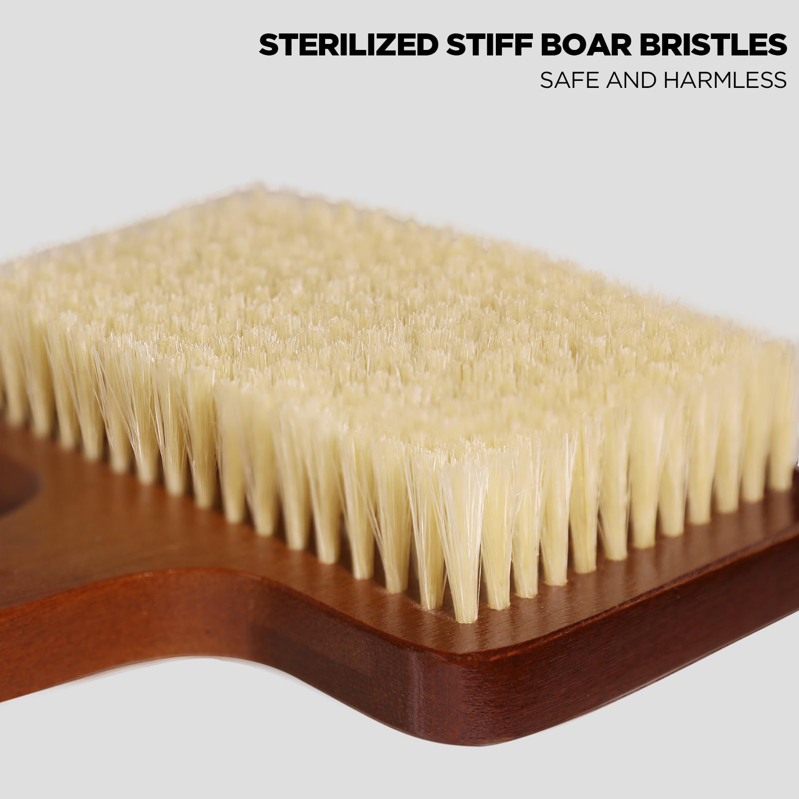 Exfoliation Set