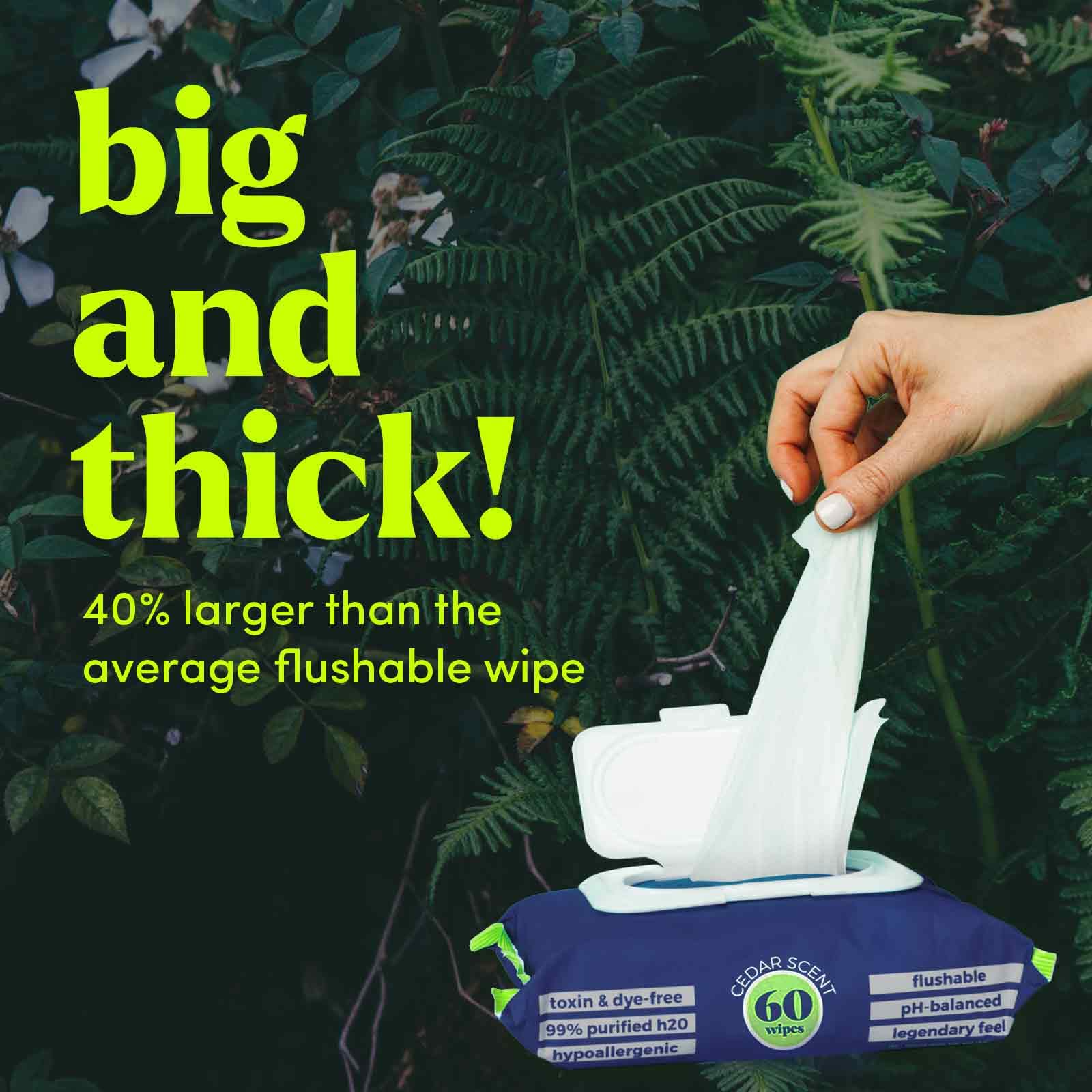 Flushable Wipes (360 Count)