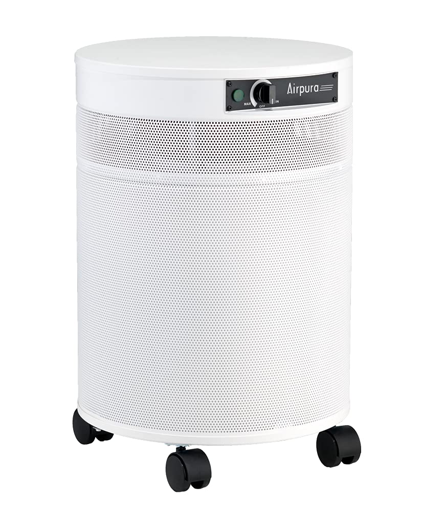 V600 Air Purifier for Home