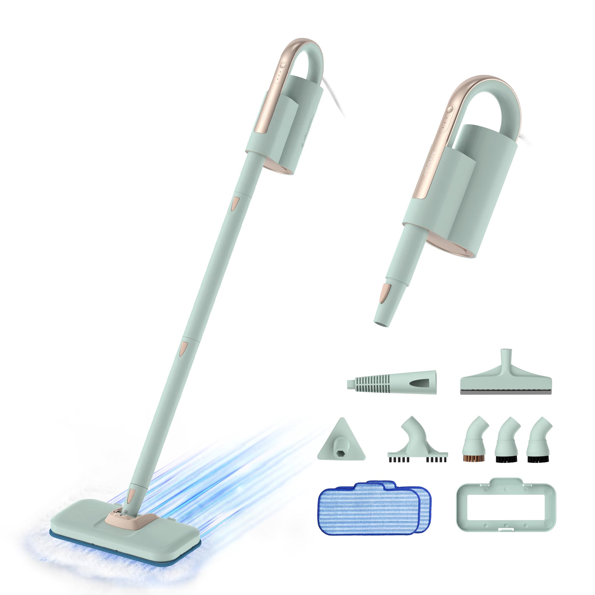 Steam Mop & Detachable Handheld Cleaner