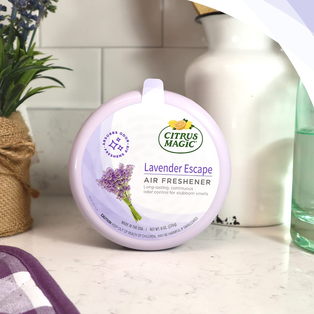 Solid Air Fresheners (24 Ounce)