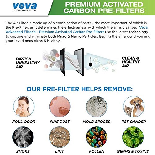 Premium 2 HEPA Replacement Filters and 6 Activated Carbon Pre Filters for Blueair 200