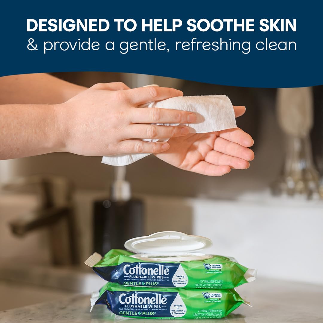 GentlePlus Flushable Wet Wipes with Aloe & Vitamin E (252 Count)