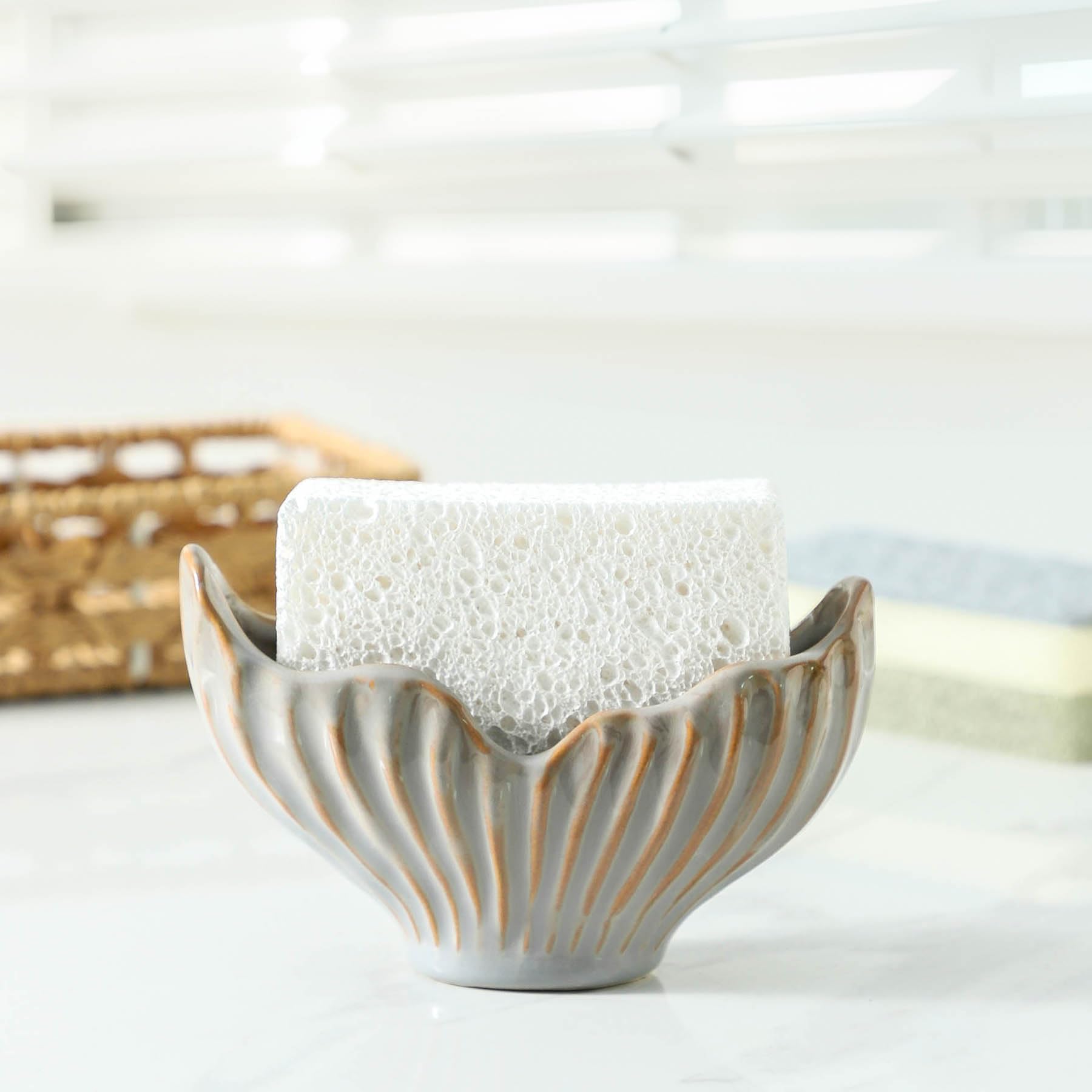 Sponge Holder for Kitchen Sink