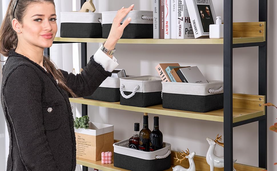 Storage Bins for Shelves