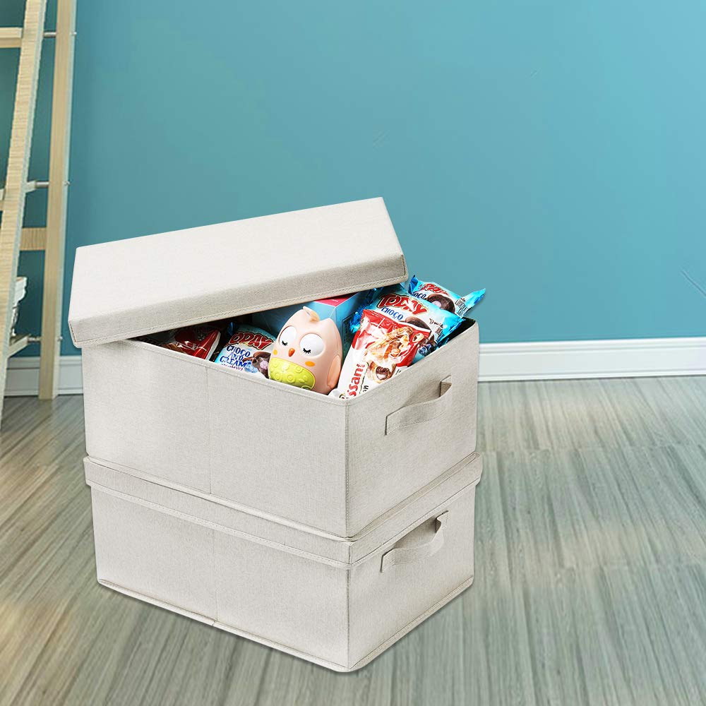 Foldable Storage Bins with Lids (2 Count)