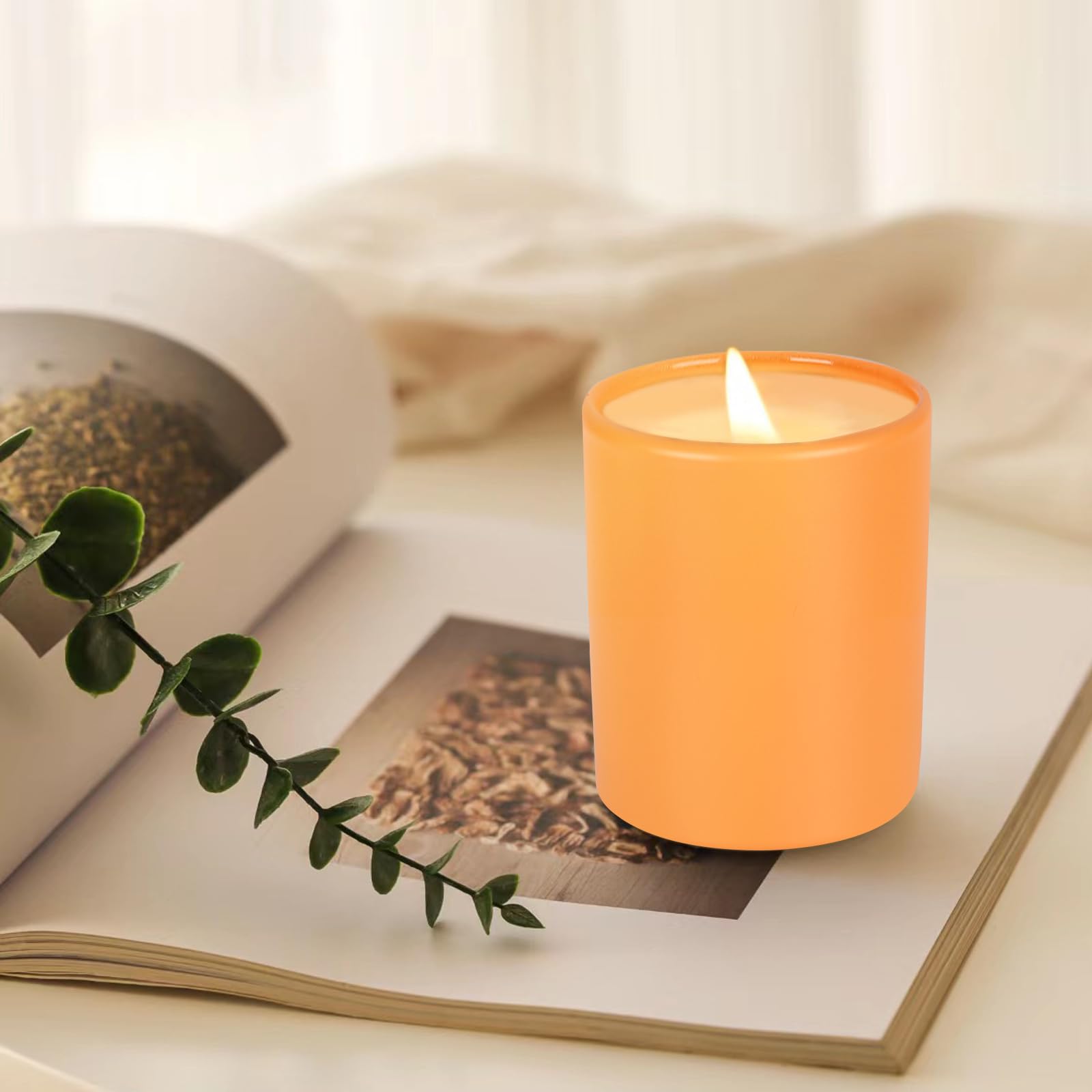 Thick Candle Jars for Making Candles 12 Pcs (12 Count)