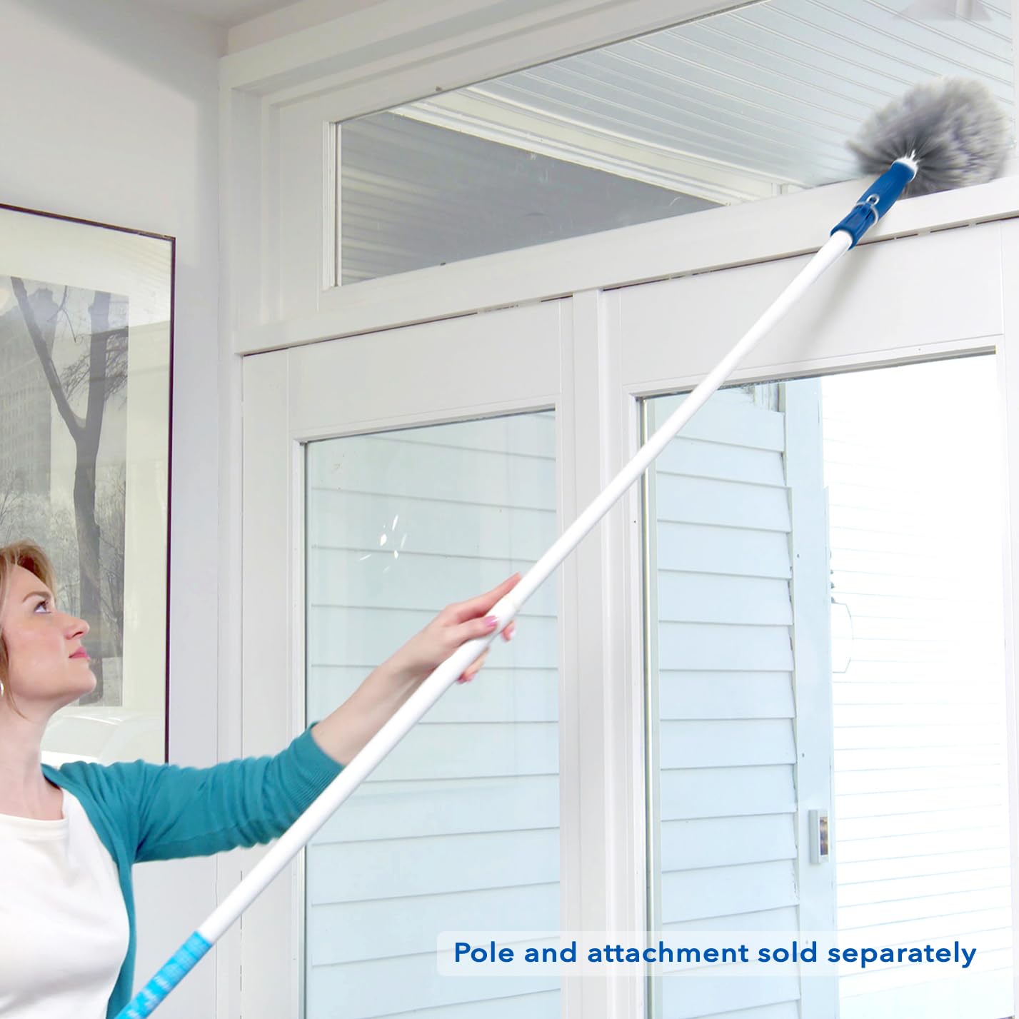 Cobweb & Corner Duster