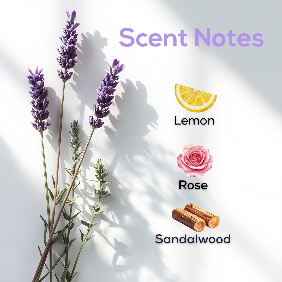 Clary Sage & Lavender Blend Plug in Air Freshener (2.72 Fl Oz)