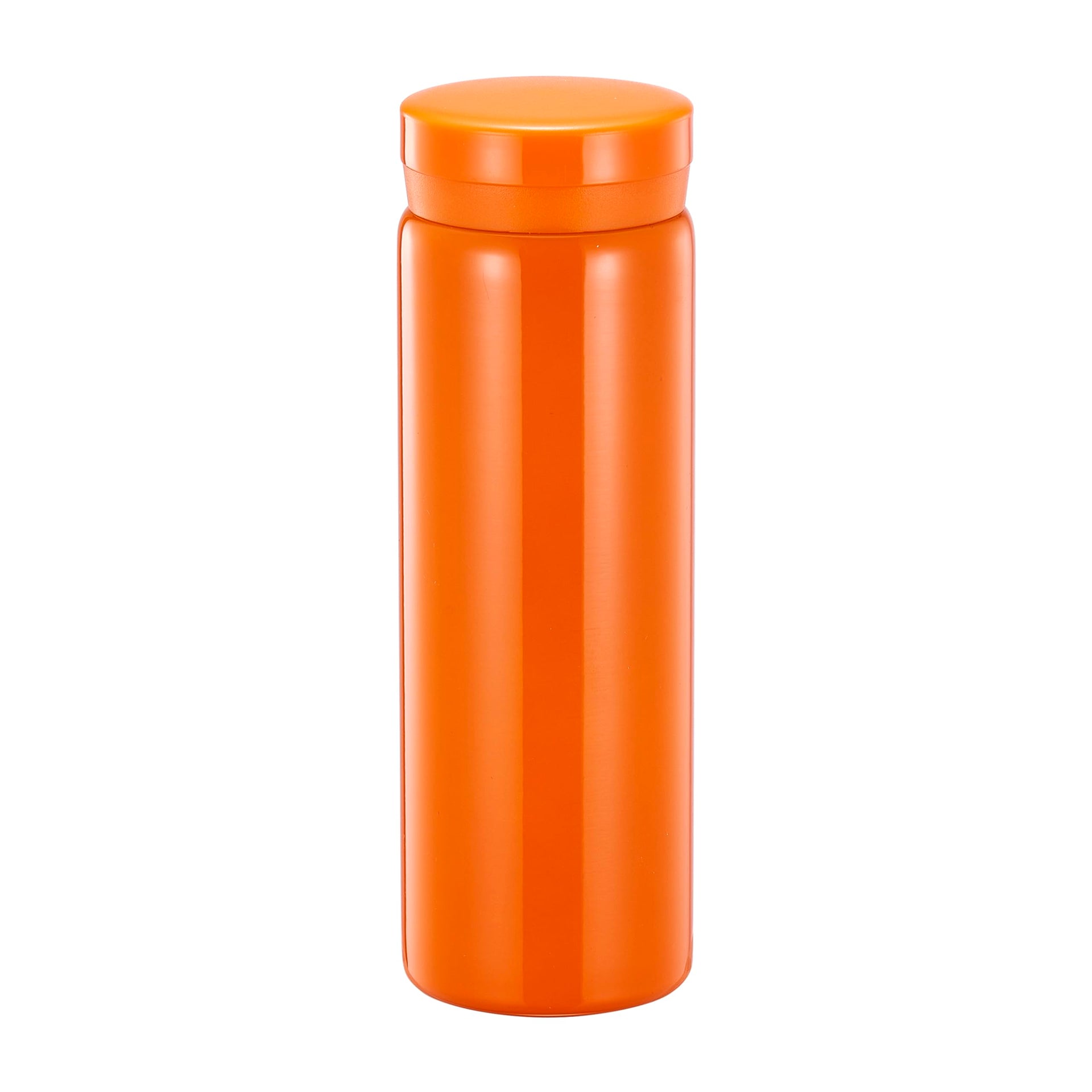 10oz Mini Water Bottle Stainless Steel Thermos Small Flask