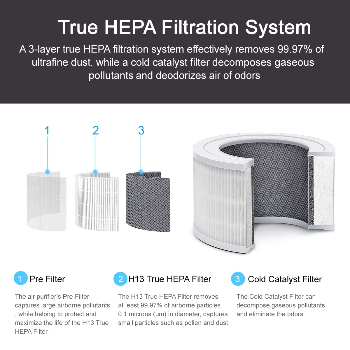 Home Air Purifier